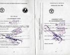 Руководство по эксплуатации РОДИНА-1